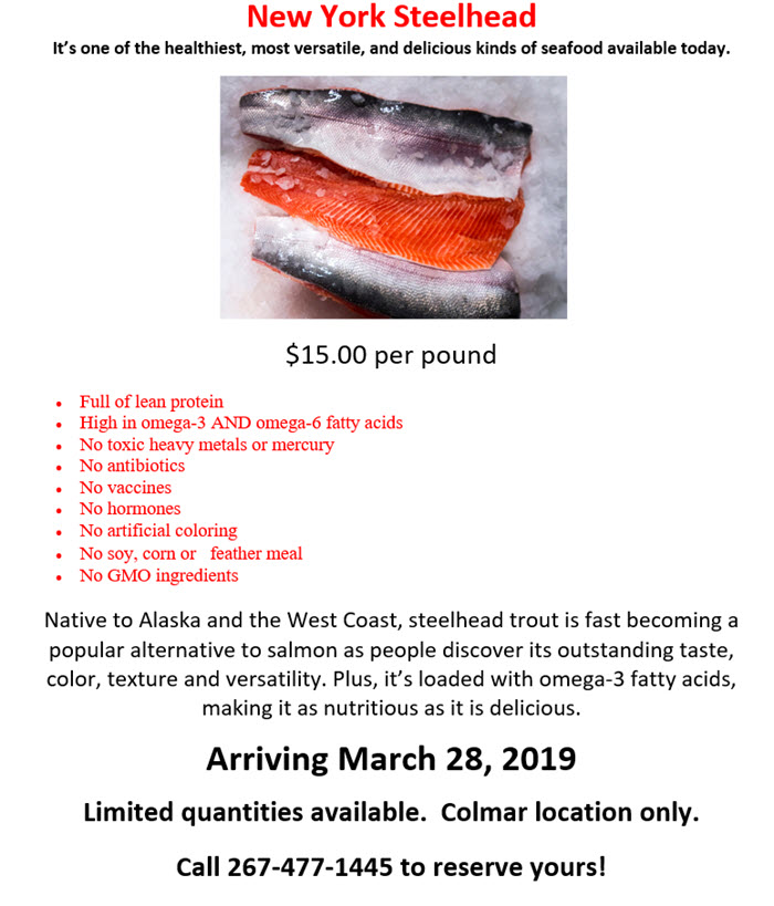 New York Steelhead