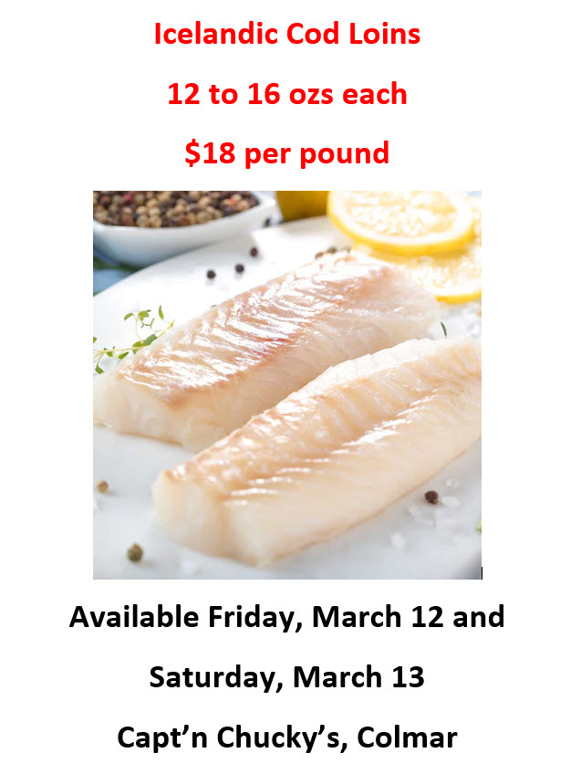 icelandic cod